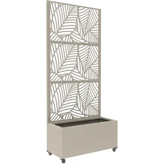 casa.pro Surnskoki 190 x 82 x 38 cm Knoblauchbeige