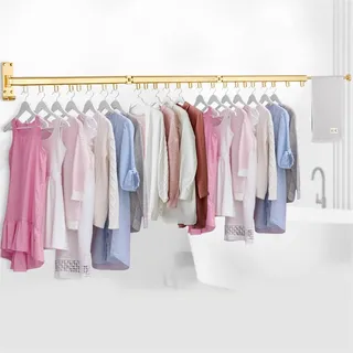 MSCEE Kleiderstange Klappbar Wandmontage Wäscheständer Ausziehbar Wand Kleiderständer Einziehbarer Mit Handtuchhalter Klappbarer Kleiderhaken (Color : Gold, Size : 3rail)