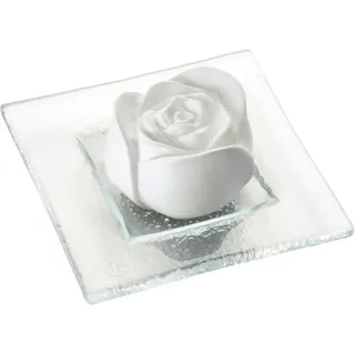 Primavera Aroma Duftstein Rosenblüte 2 STK - Keramik, Glasteller - Duftträger für ätherische Öle und Duftmischungen - Raumduft, Diffusor - Aromatherapie