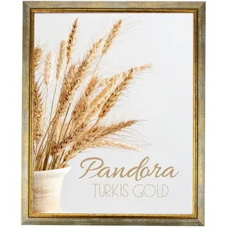 myposterframe Einzelrahmen Bilderrahmen Aged Vintage Pandora, (1 Stück), 70x100 cm, Türkis Gold, Echtholz blau 70 cm x 100 cm