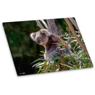 itenga Schreibtischunterlage Koala abwischbar rutschfest glatt Kunststoff