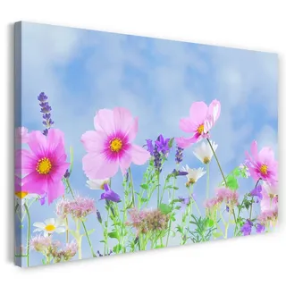 Printed Paintings Leinwand (80x60cm): Blumenbilder Blumenfotos rosa Blüten vor himmelblauer Kulis