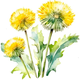 GRAZDesign Blume Wandtattoo Pusteblume - Löwenzahn gelb Wandaufkleber Wohnzimmer Schlafzimmer Flur - Aufkleber selbstklebend - 57x57cm