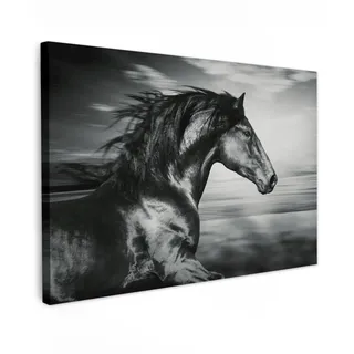MuchoWow© Leinwandbild Groß XXL Dekoration Wohnzimmer Bilder Aufhängen Wall | 120x80 cm - Decoration Living Room Wohnungs Deko Moderne Schwarzweiss - Weiss - Pferd - Tiere - Bild Schwarz und Weiß