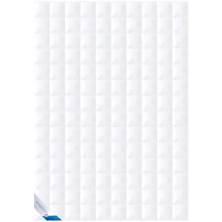 BÖHMERWALD Daunen Premium Einziehdecke Leicht Sommer (Größe: 155x220 cm)