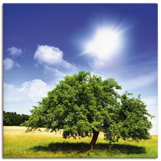 Wandbild ARTLAND "Baum des Lebens" Bilder Gr. B/H: 50 cm x 50 cm, Leinwandbild, grün Bild Poster Bilder als Alubild, Leinwandbild, Wandaufkleber oder in versch. Größen