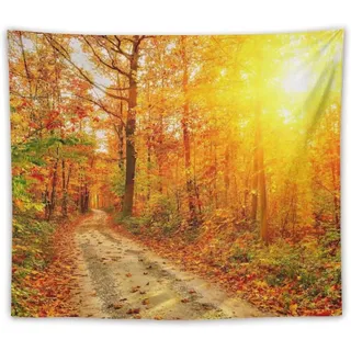 Sxakswol Wandteppich Groß Herbst Wandteppich 200x150 Wandbehang Waldlandschaft, Tapisserie 3D Wandtuch Aesthetic Wandteppiche für Wohnzimmer Schlafzimmer Wohnheim Wanddeko B253