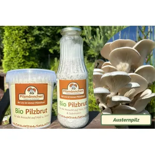 Austernpilz-Pilzbrut BIO 1 Liter