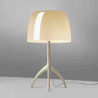 Foscarini Lumiere Tischleuchte, FN026001EH_12,