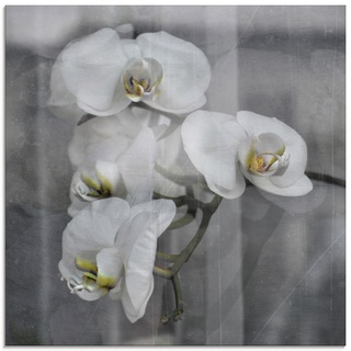 Glasbild ARTLAND "Weisse Orchideen - white Orchid" Bilder Gr. B/H: 50 cm x 50 cm, Glasbild Blumen quadratisch, 1 St., schwarz Glasbilder in verschiedenen Größen