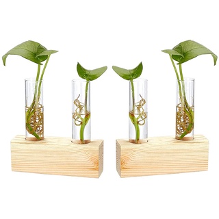 2 Stücke Reagenzglas Vase aus Holz, Hydroponische Vase mit Holzrahmen, Reagenzglas Blumenvase, Verwenden Sie zu Office Home Decoration, Geschenk für Hochzeit Geburtstag (mit 2 Reagenzgläsern)