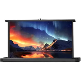 Celexon Professional 111x62 16:9