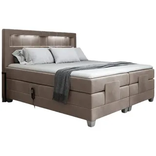 Fun Möbel Davide 180 x 200 cm Beige