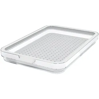 Rotho Frischhaltedose Cauma transparent weiß 28,2 cm 1,3 l
