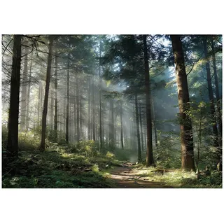 WallArena VLIESTAPETE Wald 3D Effekt Natur Schlafzimmer 400x280