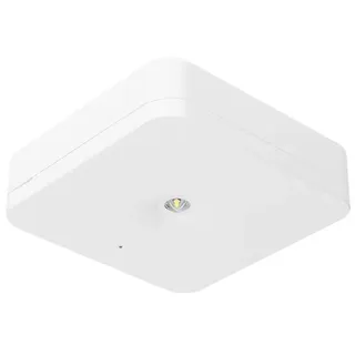 Fischer Sicherheitsleuchte SLM-DE1UZ