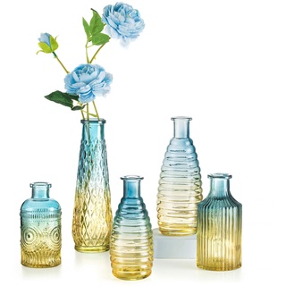 Kleine Vasen Set Bunte Glasvase: Hewory 5er Kleine Vasen für Tischdeko, Blau Vase Glas Glasflaschen Vintage Blumenvase, Verschiedene Groessen Vasen Deko Mini Vasen für Deko Wohnzimmer Room Decor