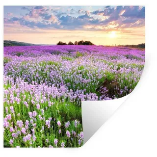 MuchoWow Wandsticker Blumen - Lavendel - Lila - Himmel - Sonnenuntergang - Wiese - Natur (1 St), Wandaufkleber, Selbstklebend, Wohnzimmer, 120x120 cm bunt 120 cm x 120 cm x 0.1 cm