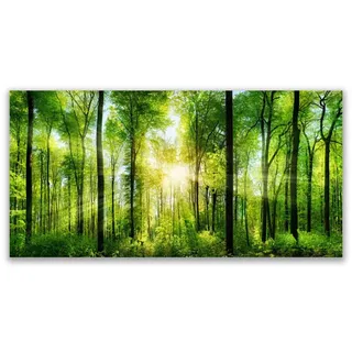 LEINWANDBILD 100x50 cm Sonnenstrahlen im Wald