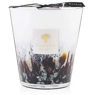 BAOBAB Rainforest Tanjung Duftkerze 1 kg mehrfarbig