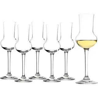 Stölzle Lausitz Professional Destillatgläser 6er Set transparent