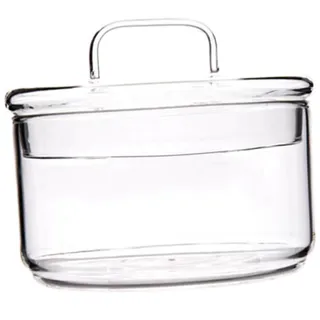 Mikinona Terrarien Glas Schüssel hitzebeständigem salatschüssel Obstschale Vorspeisen Dessertschale klare Schüssel Mit Deckel Rührschüssel Kornflakesschüssel Aufbewahrungsschale