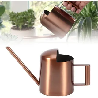 300-ml-gießkanne Für Zimmerpflanzen – Mini-gießkanne Aus Edelstahl Mit Langem Metallhals Für Topf- Und Hängepflanzen