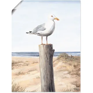 Wandbild ARTLAND "Möwe", weiß (farbe bild(er): weiß), B:45cm H:60cm, Bilder, als Alubild, Leinwandbild, Poster in verschied. Größen