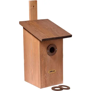 Dobar Einblick Beobachtungs-Vogelnistkasten