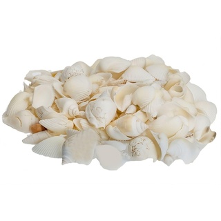 NaDeco Muschelmix in Weiß, Packung mit 1kg | Dekomuscheln | weiße Muscheln | Bastelmuscheln | Deko-Muscheln | Deko-Schnecken | Maritime Dekoration | Muscheln und Schnecken