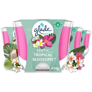 Glade Langanhaltende Duftkerze im Glas, Exotic Tropical Blossom, 4er Pack (4x224 g)