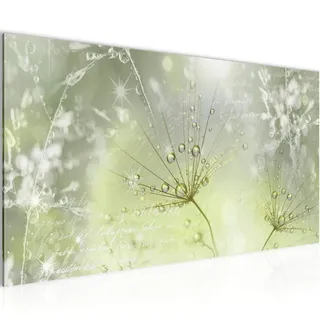 Runa Art Wandbild Pusteblume 1 Teilig 100 x 40 cm Modern Bild auf Vlies Leinwand Gräser Wohnzimmer Schlafzimmer Grün Grau 205612b