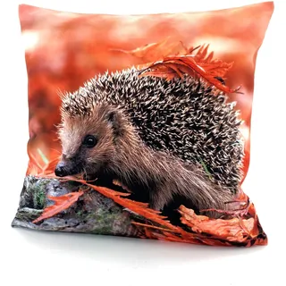 Dekokissen WECKBRODT "Igel" Gr. 1, bunt (multi, gemustert), B:40cm L:40cm, Obermaterial: 100% Polyester, Dekokissen_Sitzkissen_Kissenhüllen