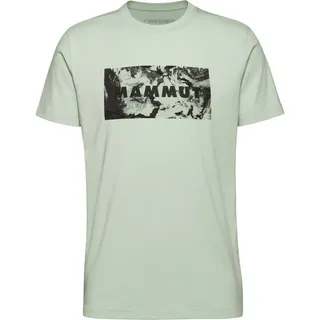 Mammut Trovat T-Shirt Logo Silber Sage L