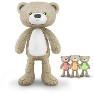 ZAZU Schlaftrainer Brody der Bär, Beige