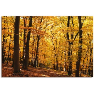 Artland Wandbild Spaziergang im Herbstwald, Wald (1 St), als Alubild, Outdoorbild, Leinwandbild, Poster in verschied. Größen goldfarben 120 cm x 80 cm