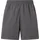 Head Racket Kurze Hose Grau L