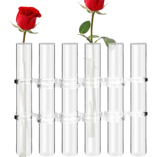 woyufen Reagenzglas Vase Für Blumen Glasvase Mit Scharnier, 8 Teilige/6 Teilige Transparente Tischvasen, Hydroponische Pflanzenvase, Glas Reagenzglas Blumenvase
