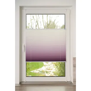 Plissee K-HOME "Farbverlauf Sunrise", bordeaux, weiß, B:25cm H:130cm, Obermaterial: 100% Polyester, Plissees