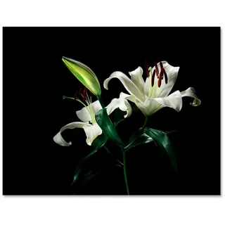 wandmotiv24 Leinwandbild Blumen, Orchidee, Natur (1 St), Wandbild, Wanddeko, Leinwandbilder in versch. Größen grün 40 cm x 30 cm x 1.8 cm