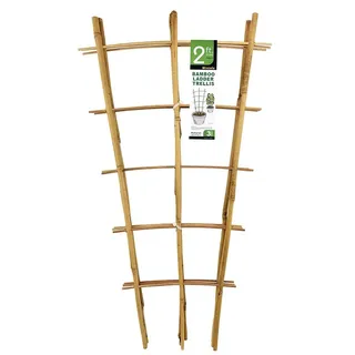 Natürliches Rankgitter Bambus 60 cm hoch, Mininfa Blumengitter, Bambus Rankhilfe für Kletterpflanzen, Gemüse, Töpfe - 3 Stück
