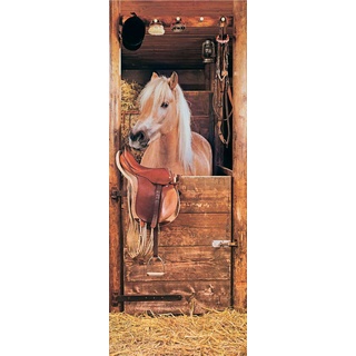 Papermoon Fototapete Horse in Stable - Türtapete, matt, Vlies, 2 Bahnen, 90 x 200 cm B/L: 0,9 m bunt Tapeten Bauen Renovieren