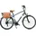 Classic Man 28 Zoll RH 50 cm grau