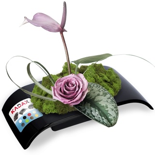 KADAX Ikebana aus Kunststoff, Ikebana Vase, Blumentopf, Blumenschale, Japanischer Blumenhalter für Sonnenblumen, Ikebana-Blumenvase, Blumengestecke (L: 24,9 cm, Schwarz)