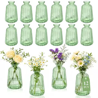 Tismels 12 Stück Kleine Vasen, kleine vasen für tischdeko 180ml (Grün) | Blumenvase Set, Glasmaterial, Mini Glass Vases, ideal für Hochzeiten,Birthdays,Festivals,Party Vasen Set