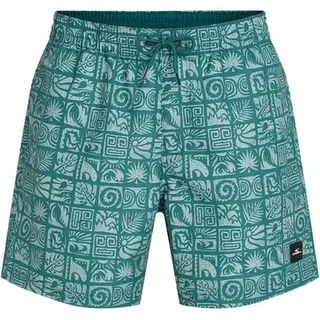 O'Neill Badehose O'Neill Print 16 Blue Bricks S