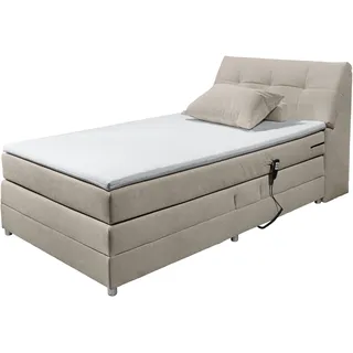 ed-lifestyle Toulouse 122 x 236 cm Beige