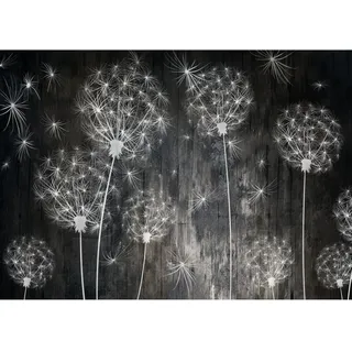 Runa Art Fototapeten 396 x 280 cm Pusteblumen Holz - Vlies Wanddekoration Wohnzimmer Schlafzimmer - Deutsche Manufaktur - Schwarz 9094012a