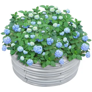 Hochbeet Rund Metall, Rundes Hochbeet aus verzinktem Stahl, Pflanzbeet für Blumen, Kräuter und Gemüse, für Balkon, Terrasse und Garten, 60x28cm Silber