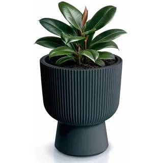 Prosperplast Milly 23,9 x 30,5 cm Anthrazit
